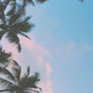 Meet your Posher, Jaylin